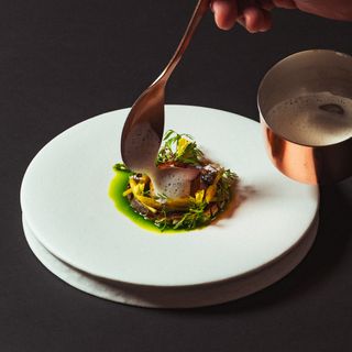 Tuna - 6