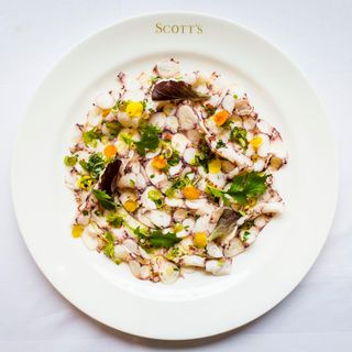 Scott's - 9