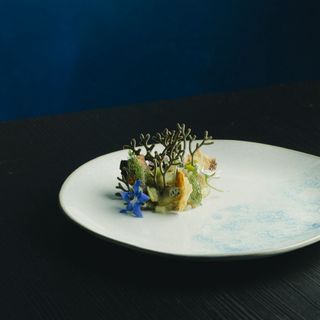 Cultivo - 0