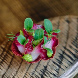 Max Cekot Kitchen - 14