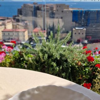 Caruso Roof Garden - 5