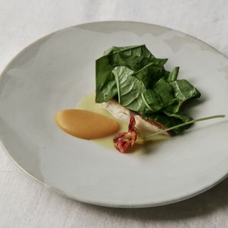 Flora - 14
