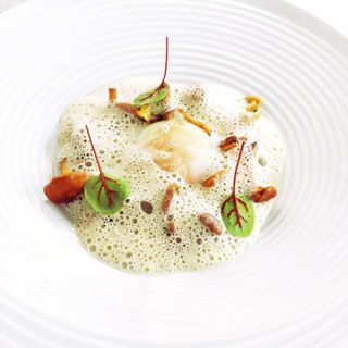 Les Coqs - 6