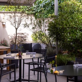 Guillaume Scheer - Les Plaisirs Gourmands - 3