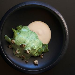 ConSentido - 19