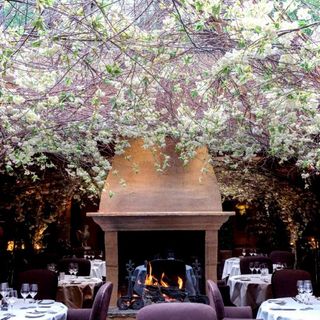 Clos Maggiore - 21