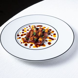 Barbagianni - 6
