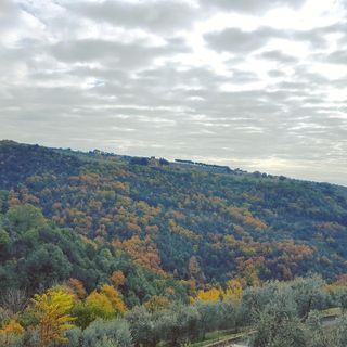 Da Gregorio - 12