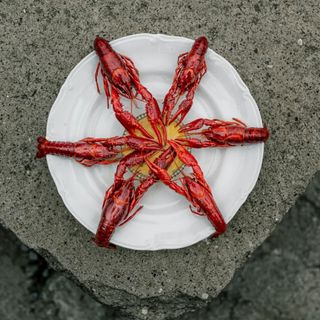 Źródło - 6