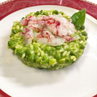 Canapone - 14
