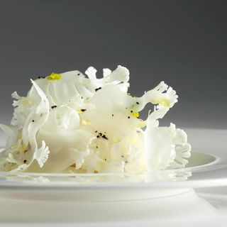 Dolce Stil Novo alla Reggia - 3