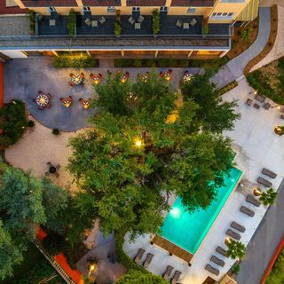 Les Jardins du Cèdre - 4