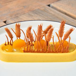 Robuust - 5