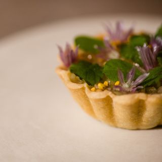 The Catbird Seat - 7