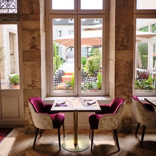 Loiseau des Vignes - Beaune - 12