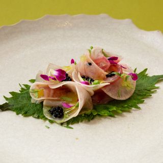 Cuculia - Firenze - 13