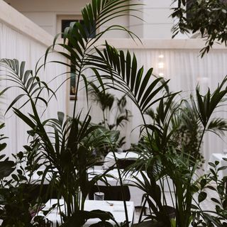La Luce - 1