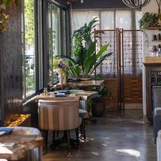 Localis - 20