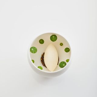 Sense - 1