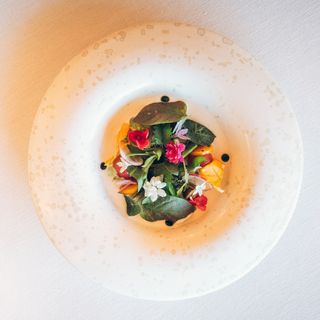Bardal - 21