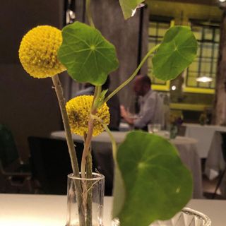 Beulings - 2