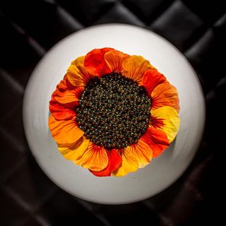 minibar by José Andrés - Washington - 2