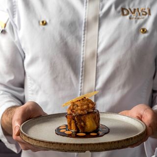 DVISI - 15