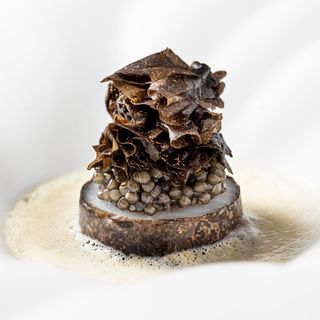 Jordnær - 34