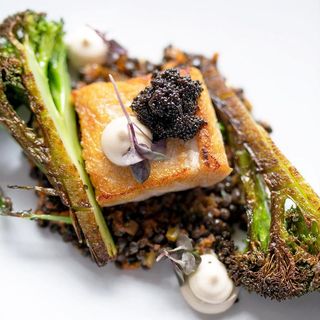 Barolo Grill - 0