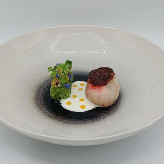 Opheem - 10
