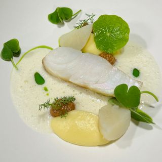 Lurrak - Arbonne - 6