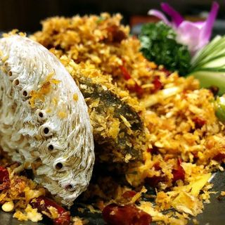 Golden Formosa - 14