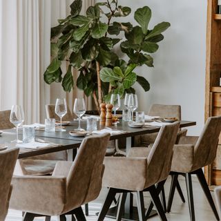 Brasserie Fiston - 6