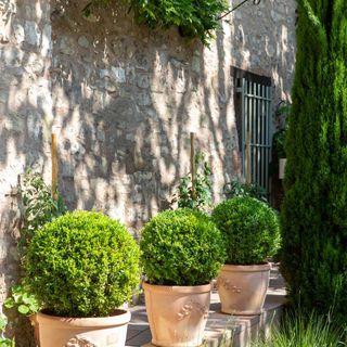Il Cortile - 4