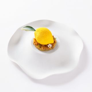 Augurio - 5