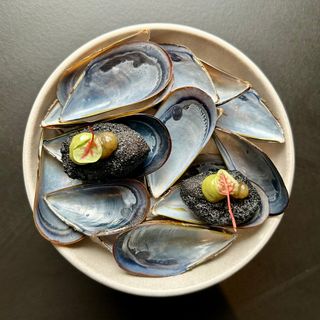 Maison Pavlov - Le Bouscat - 7