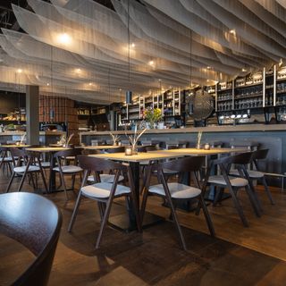 MOUT & HOUT - 5
