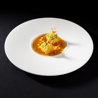 Jellyfish - 1