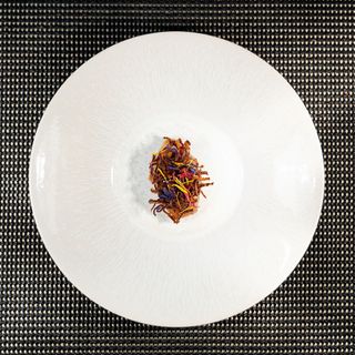 Melba - 10