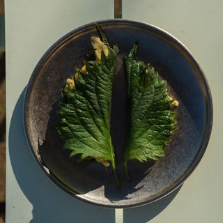 Restaurant De Kas - 4