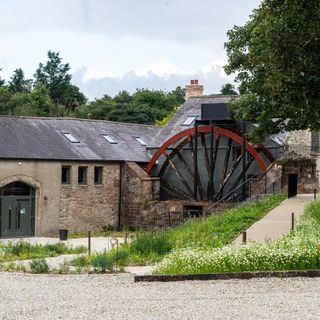 Capparelli at the Mill - 2
