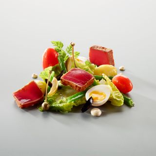 Bären - 12