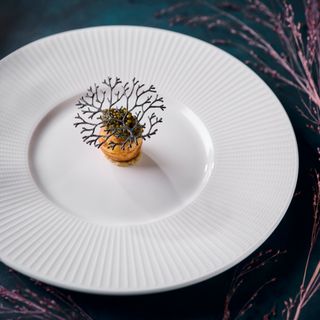 Parsley Salon - 19