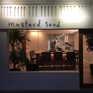 Mustard Seed - 7
