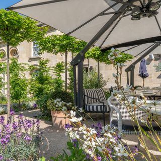 Montagu's Mews - 9