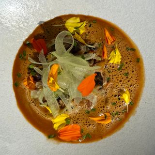 Renée - 5
