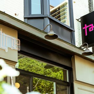 Taline - 2