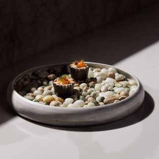 Restaurant Saga - 5