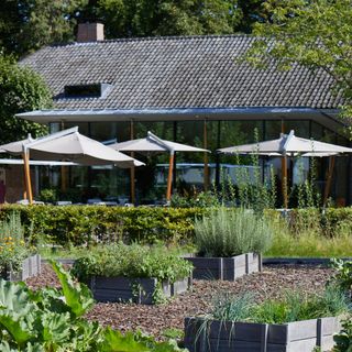Bistro LOF - 1