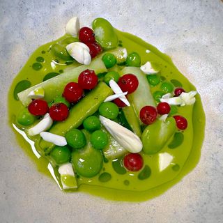 Indigène - 6